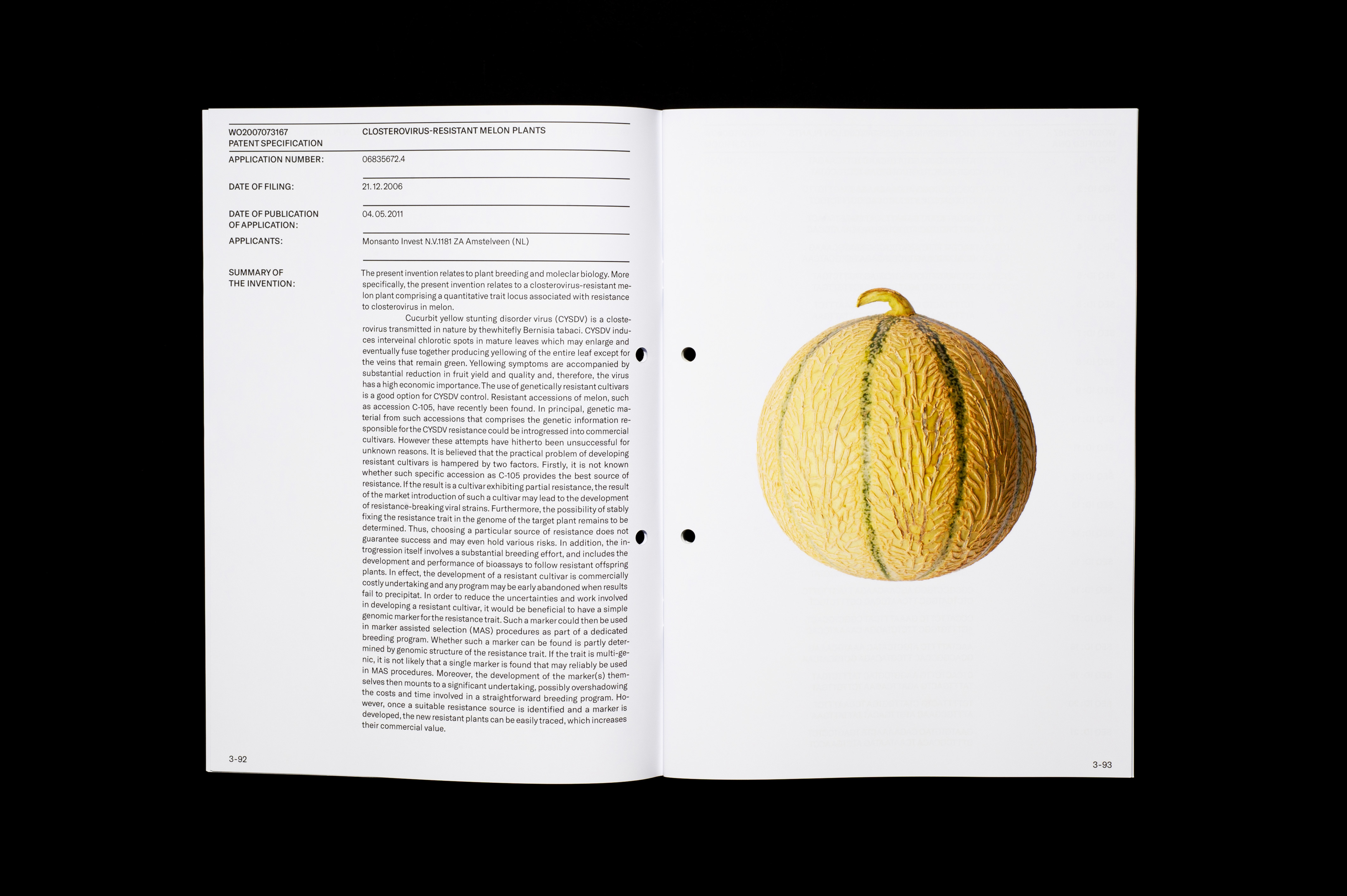 Bachelor Thesis image 3